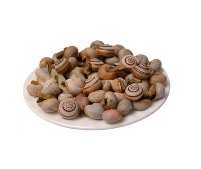 Caracol em Calda (balde 1kg)